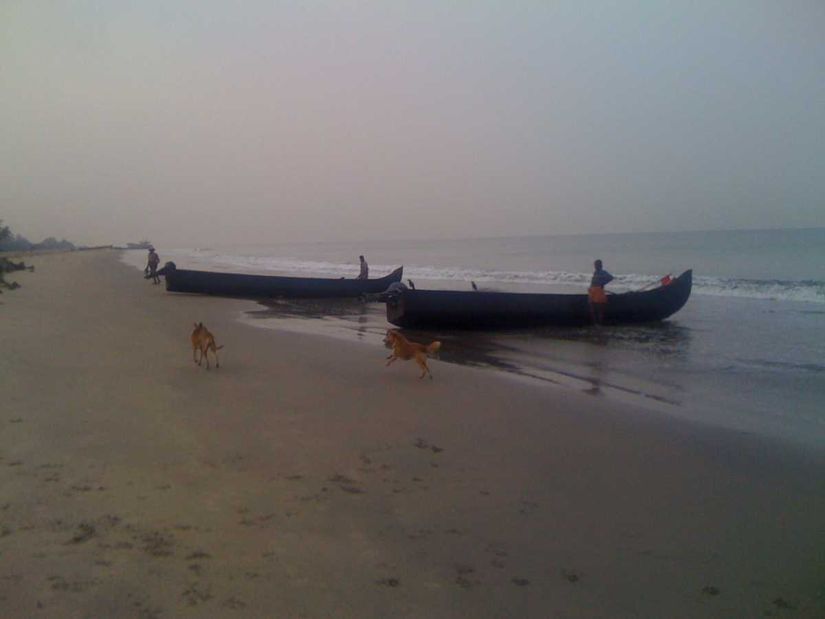 Puthuvype Beach - Kochi Image