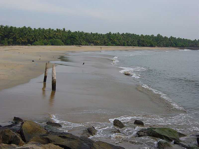 Munambam Beach - Kochi Image