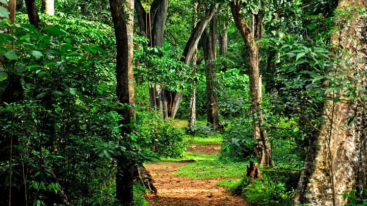 Shenduruny Wildlife sanctuary - Kollam Image