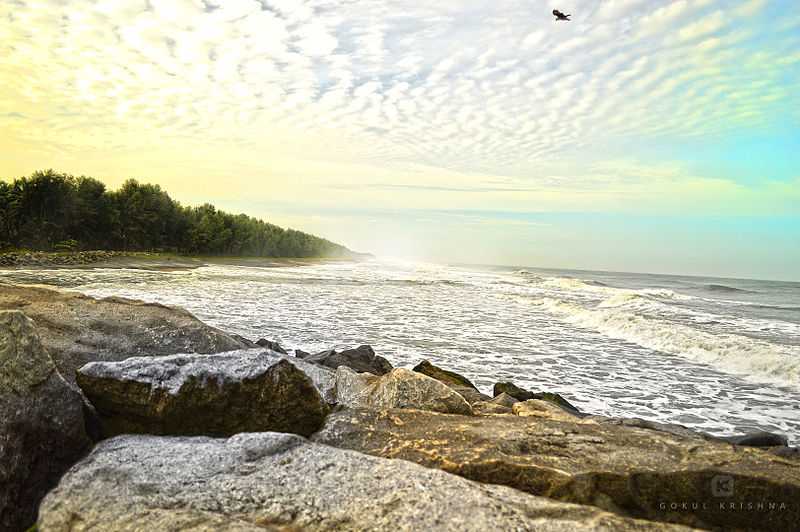 Azheekal Beach - Kollam Image