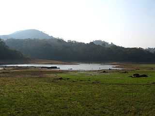 Thekkady Lake - Thekkady Image