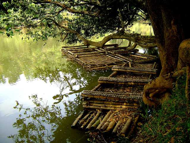 Kuruva Dweep - Wayanad Image