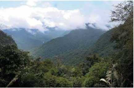 Neelimala Viewpoint - Wayanad Image