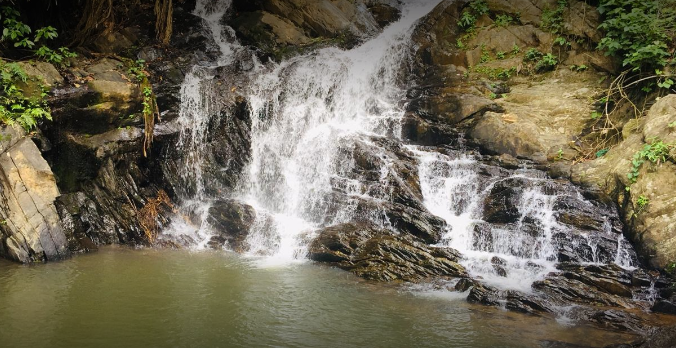 Palchuram Waterfalls - Wayanad Image