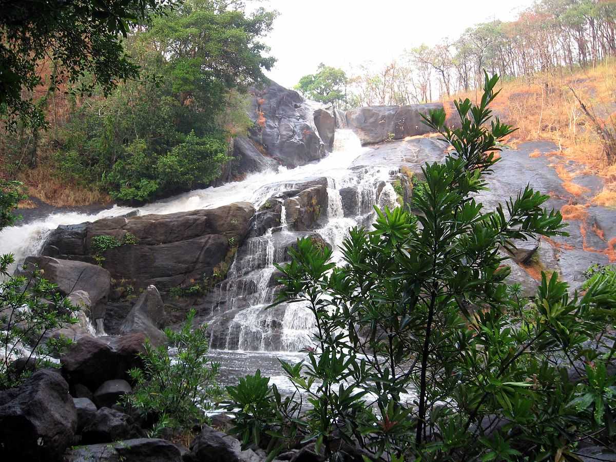 Meenmutty Falls - Wayanad Image