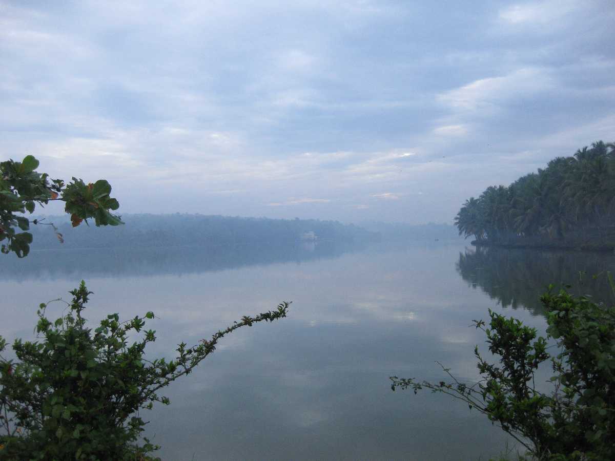 Vellayani Lake - Kovalam Image