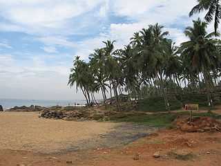 Samudra Beach - Kovalam Image