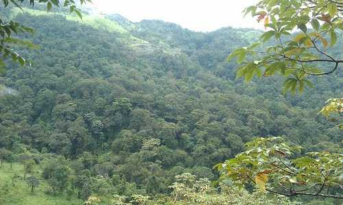 Kozhippara Falls - Kozhikode Image