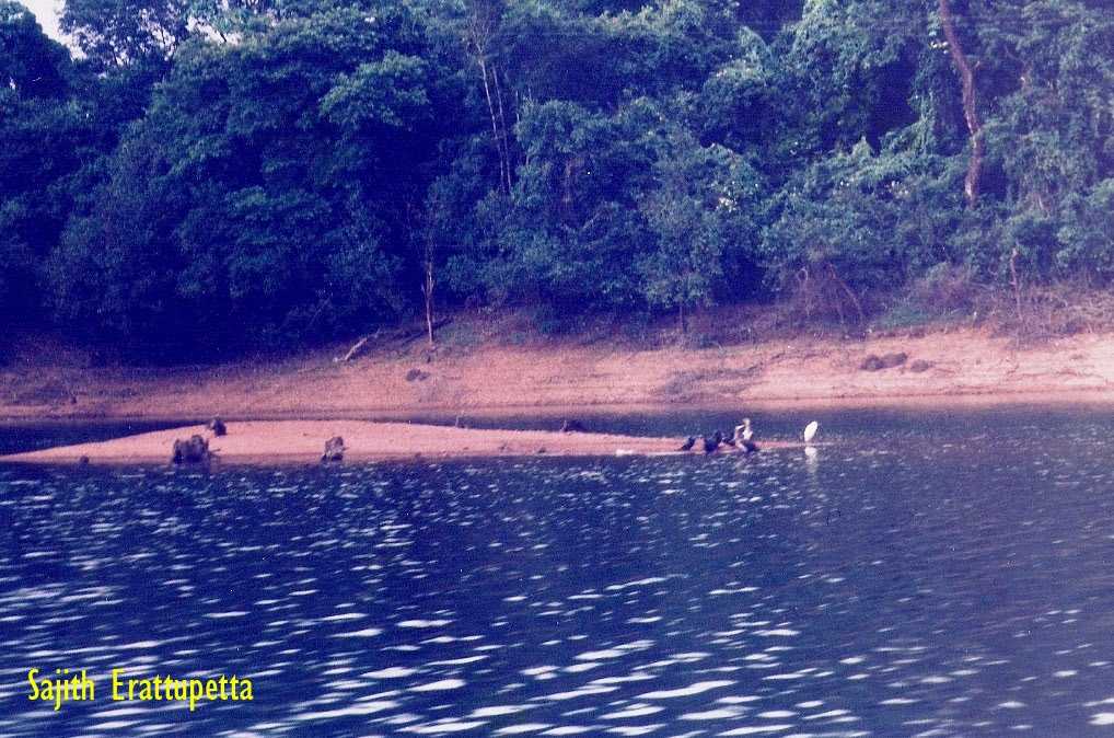 Peruvannamuzhi Dam - Kozhikode Image