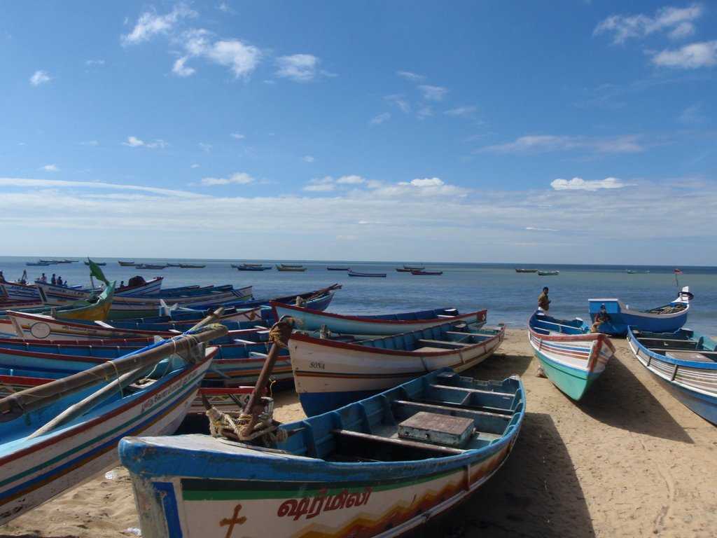 Chavakad Beach - Thrissur Image