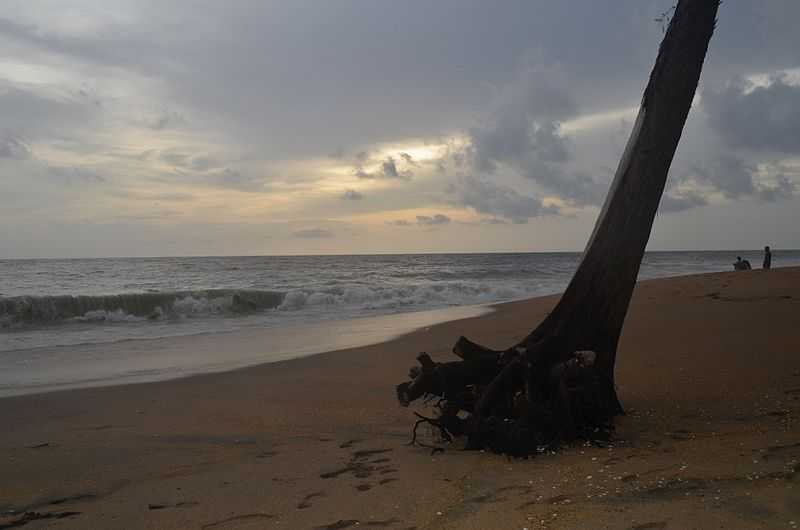 Periyambalam Beach - Thrissur Image