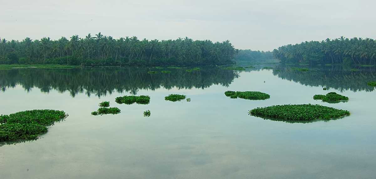 Akkulam Lake - Thiruvananthapuram Image