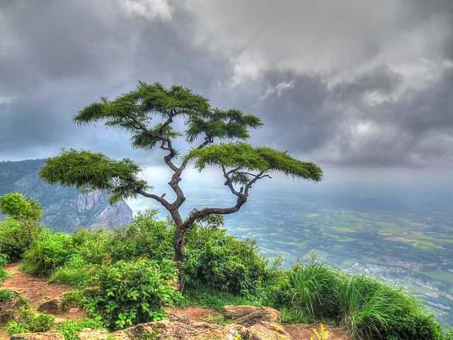 Seethargundu Viewpoint - Palakkad Image