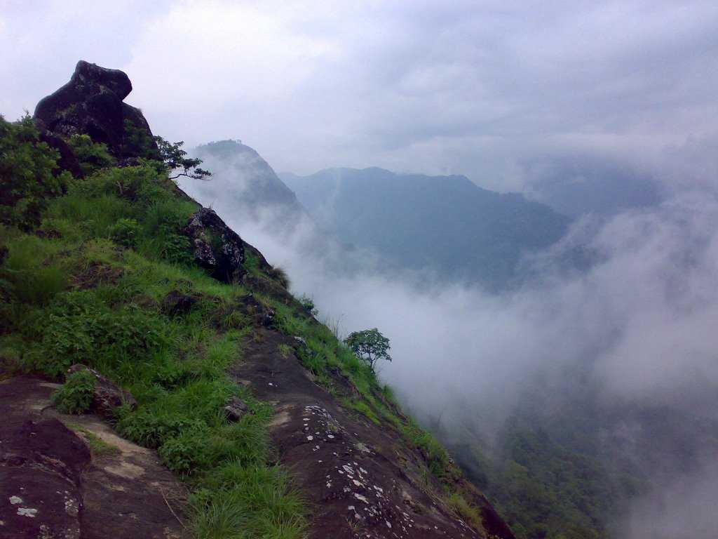 Kulamavu Dam - Idduki Image