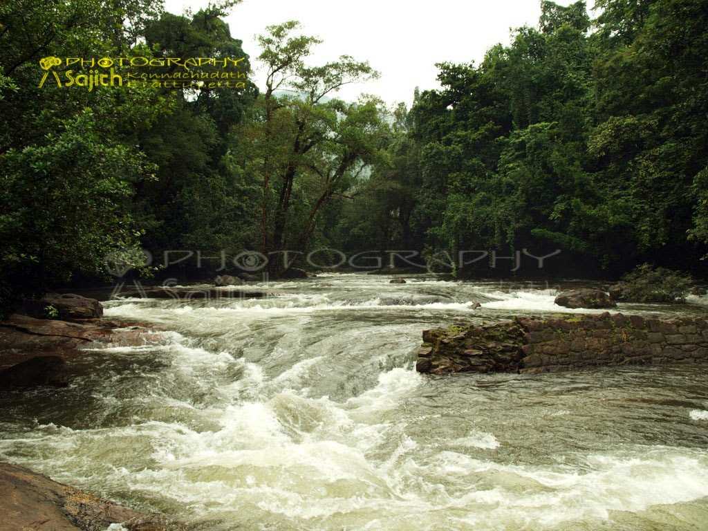 Thommankuthu Falls - Idduki Image