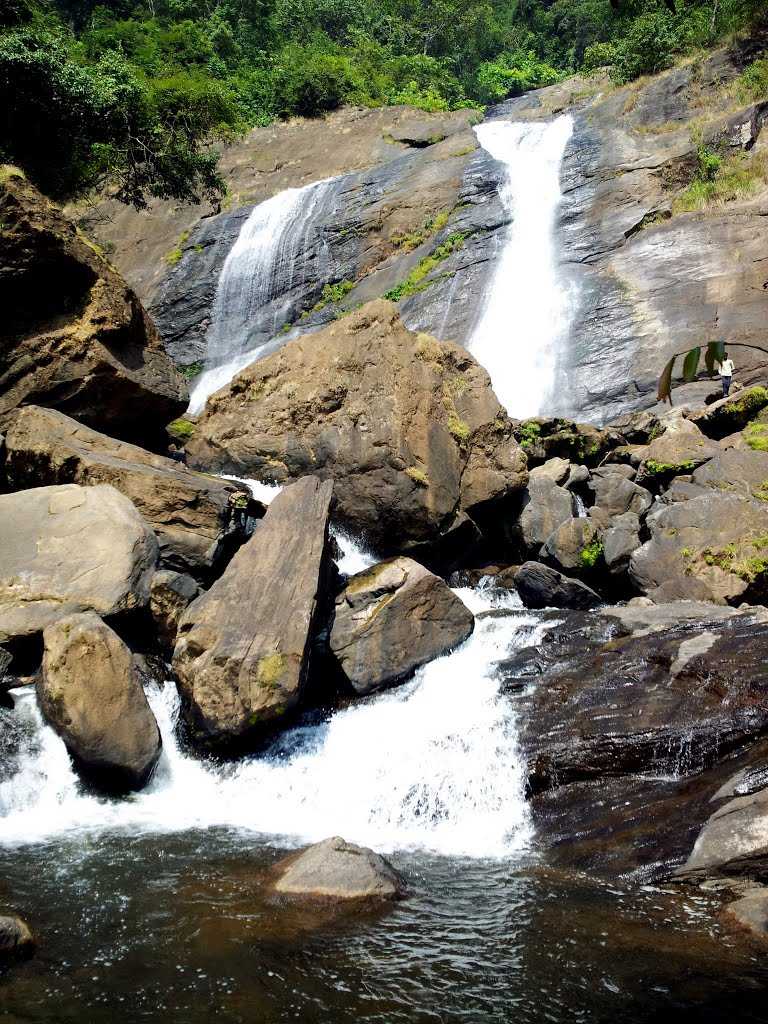 Keezharkuthu Falls - Idduki Image