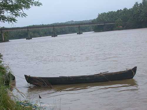 Kammadam Sacred Grove Wildlife Sanctuary - Kasargod Image