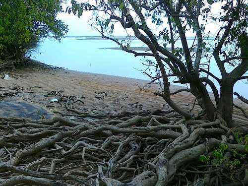 Thalangara Childrens park - Kasargod Image