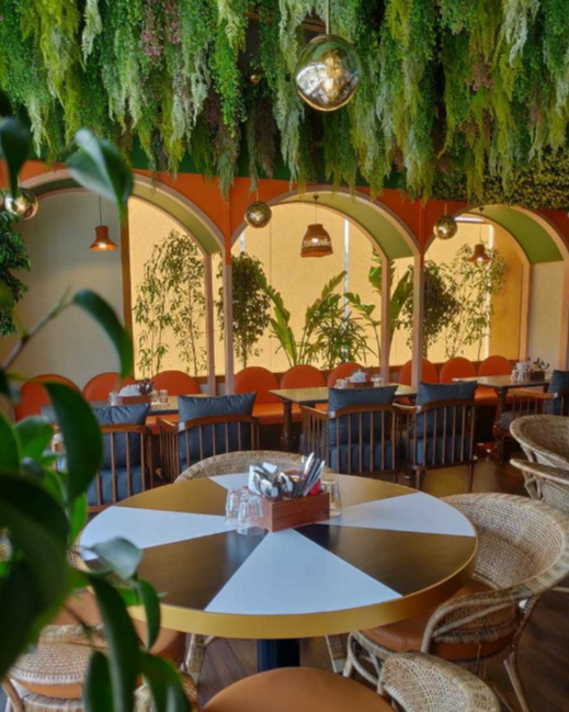 Eleven 11 Restro Cafe - Navrangpura - Ahmedabad Image