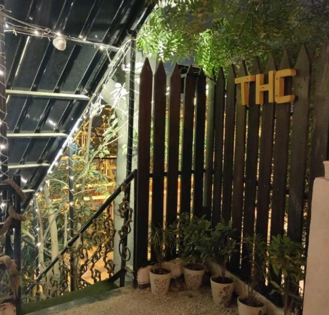 THC Cafe - Shahpur Jat - New Delhi Image