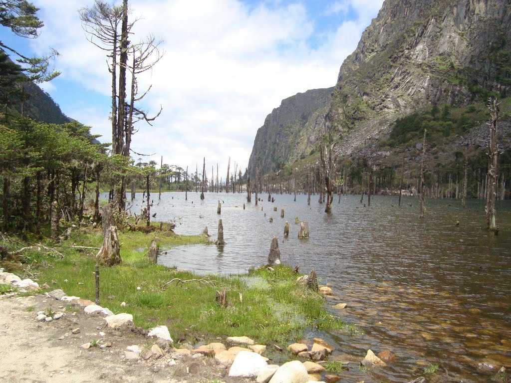 Mayudia - Roing Image