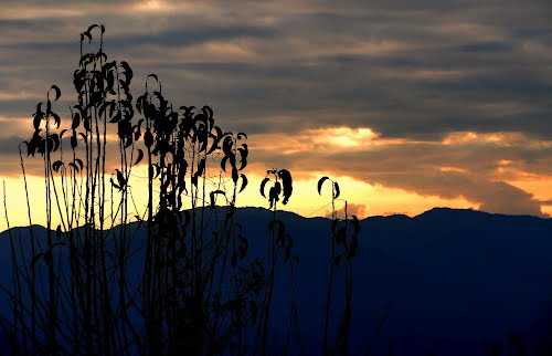 Mouling National Park - Yingkiong Image