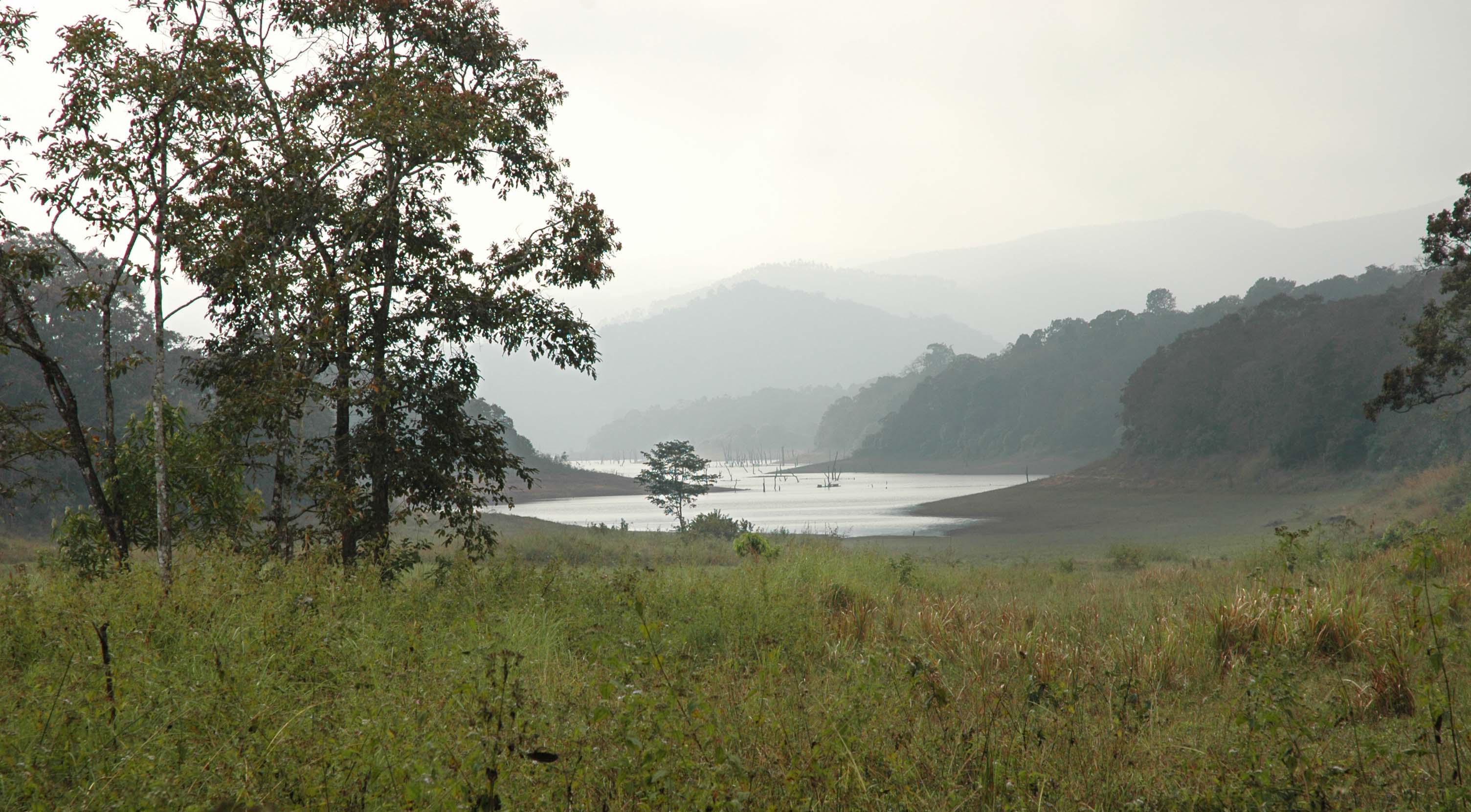 Nehru Van Udayan - Roing Image