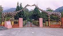 Nuranang Falls - Tawang Image