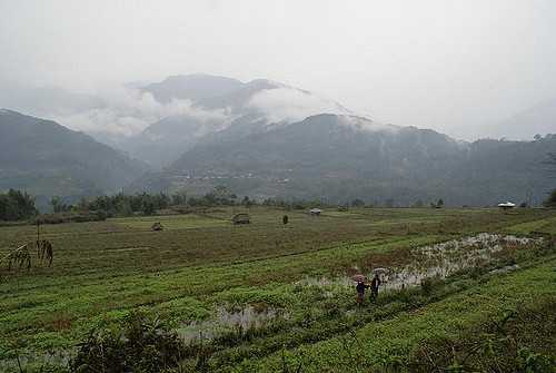 Ziro Image