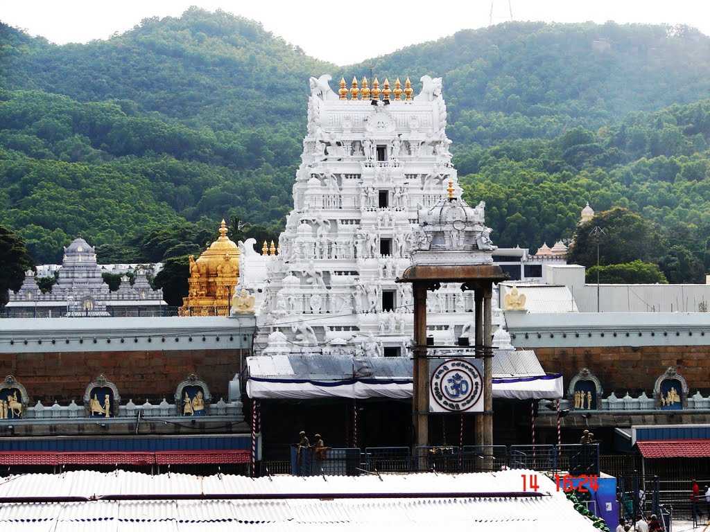 Sri Venkateswara Temple - Tirupati Image