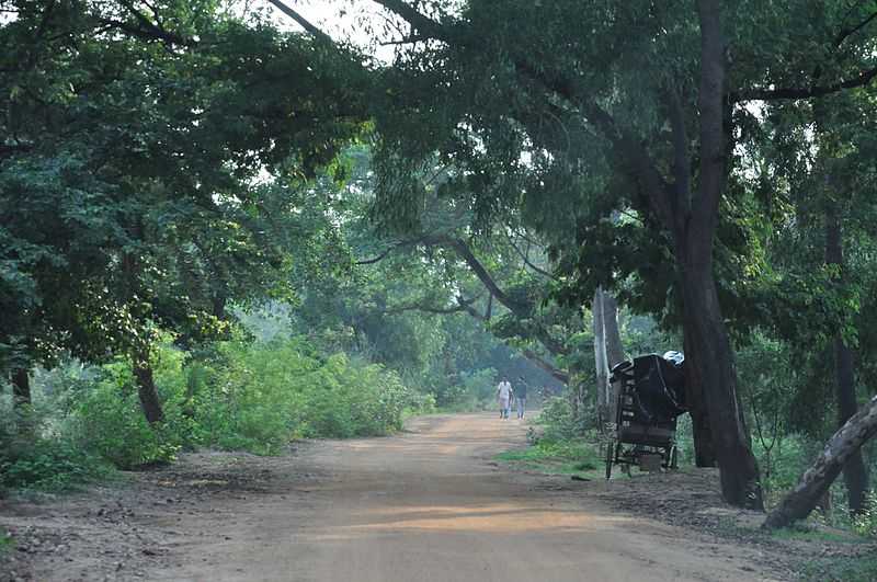 Sonajhuri Forest - Kolkata Image