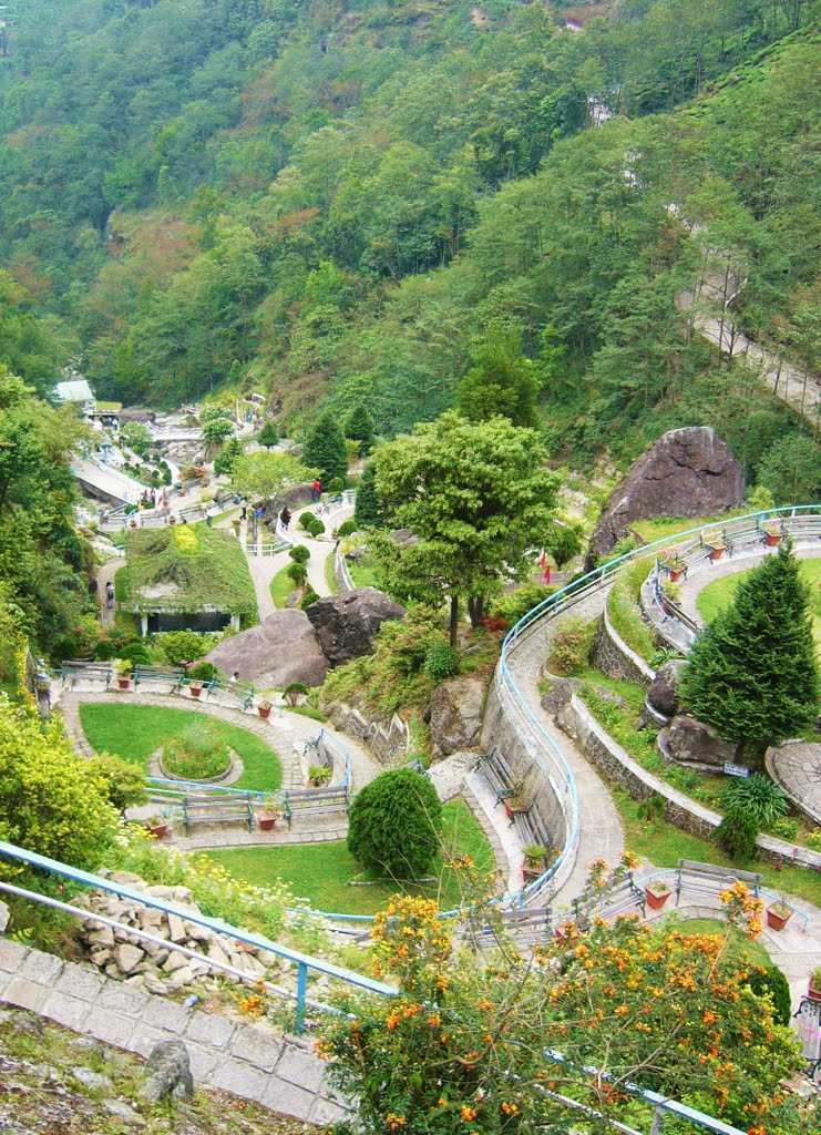 Rock Garden - Darjeeling Image