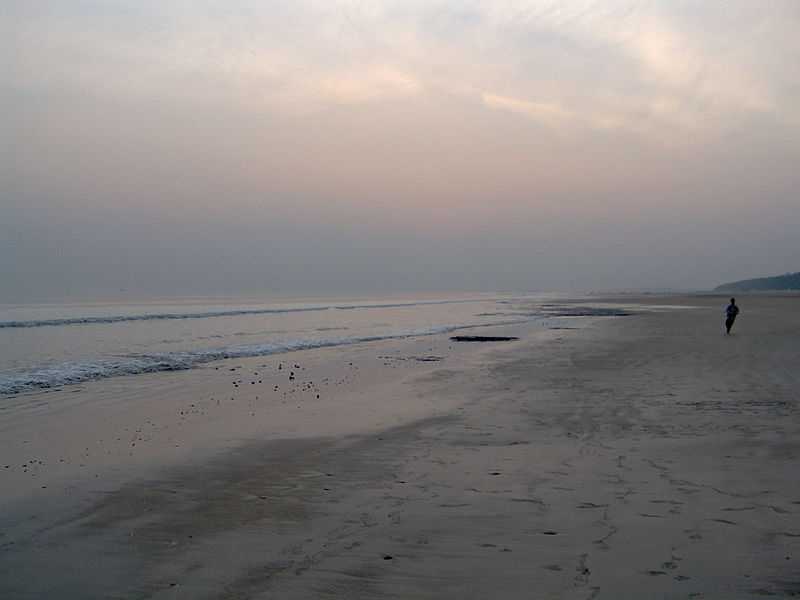 Shankarpur Beach - Digha Image