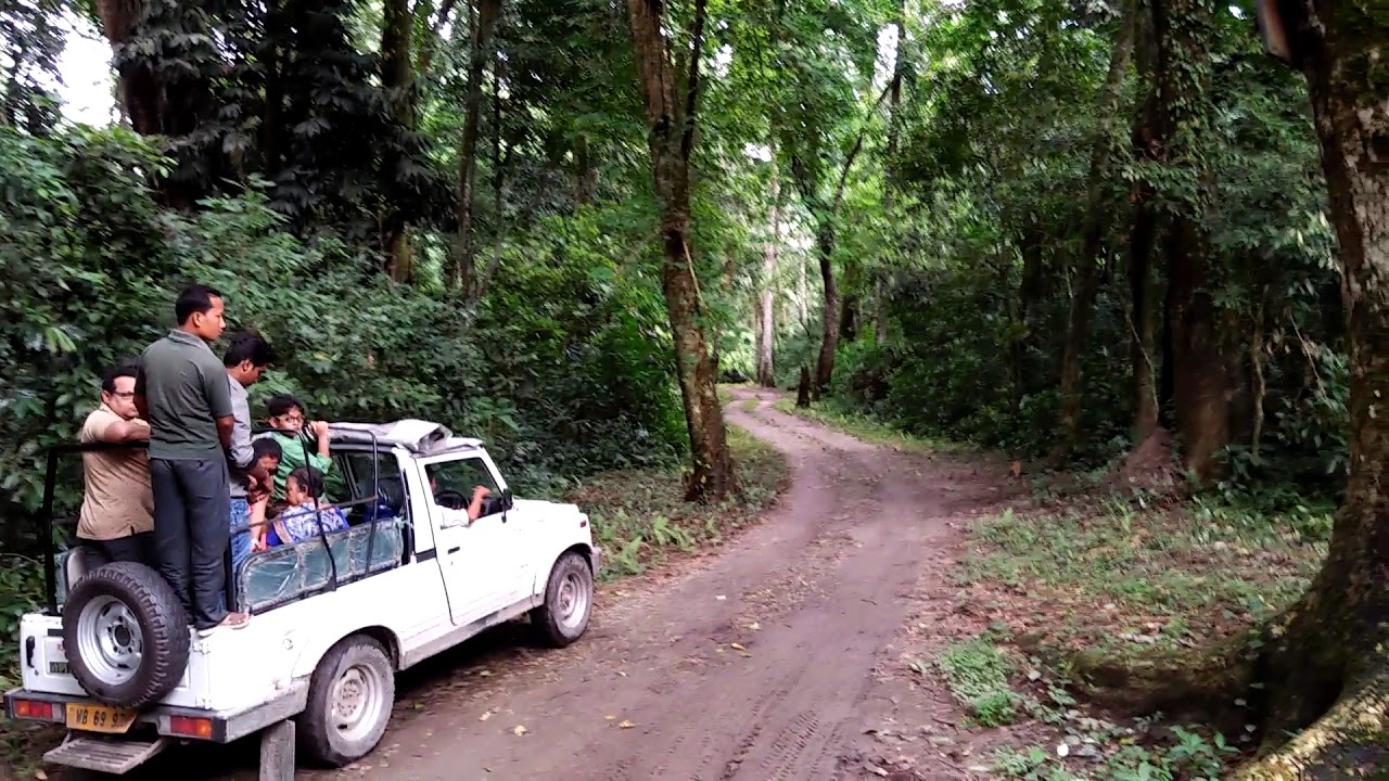 Chilapata Forest - Siliguri Image