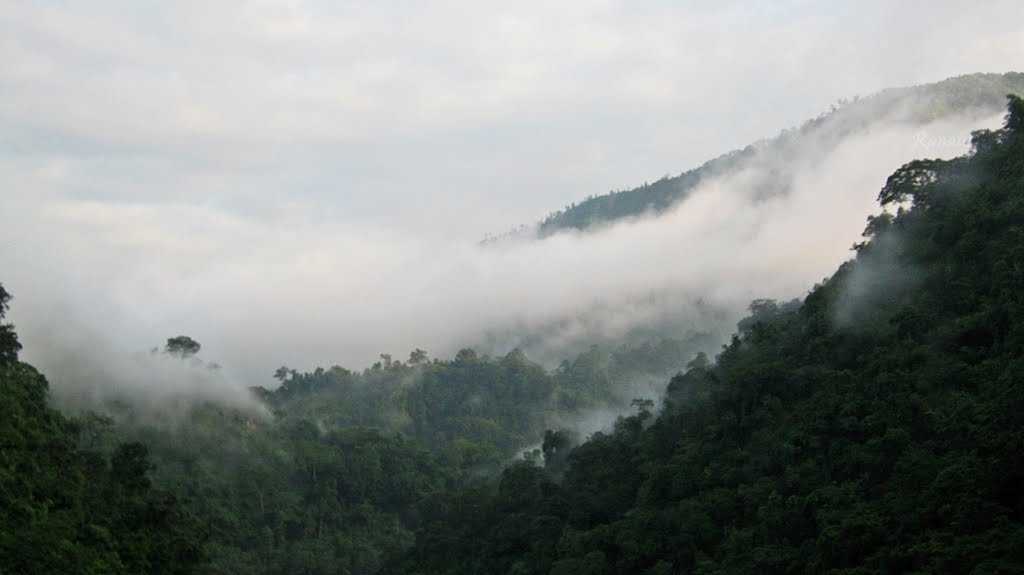 Mahanada Wildlife Sanctuary - Dooars Image