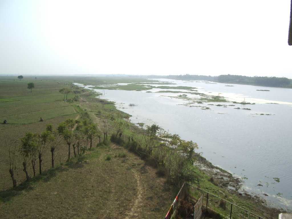 Purbasthali Bird Sanctuary - Navadvipa Image