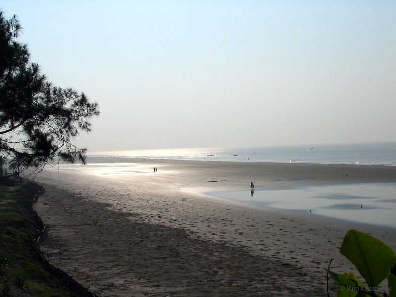 Bakkhali Beach - Bakkhali Image