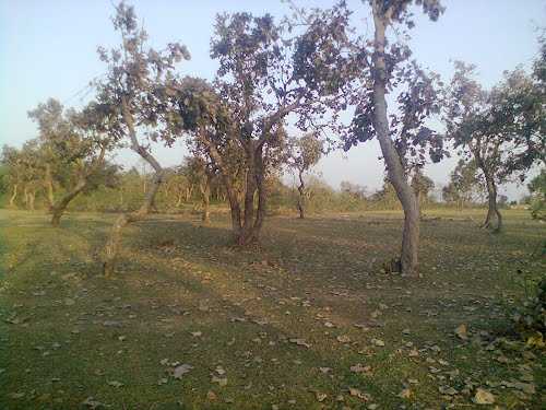 Rakab Forest - Purulia Image