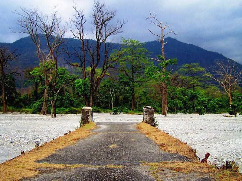 Buxa Tiger Reserve - Rajabhatkhawa Image