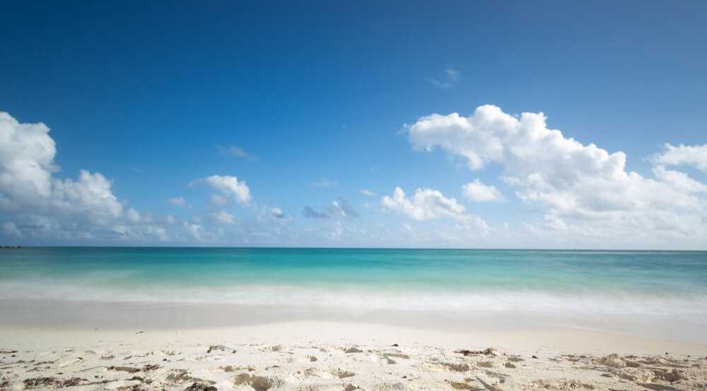 Astaranga Beach - Konark Image