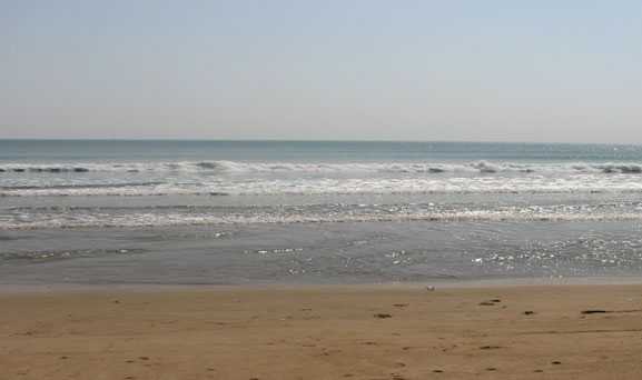 Balighai Beach - Puri Image