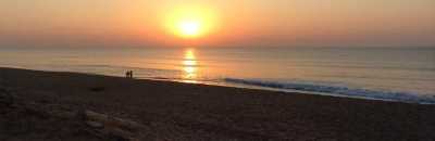 Baliharachandi Beach - Puri Image