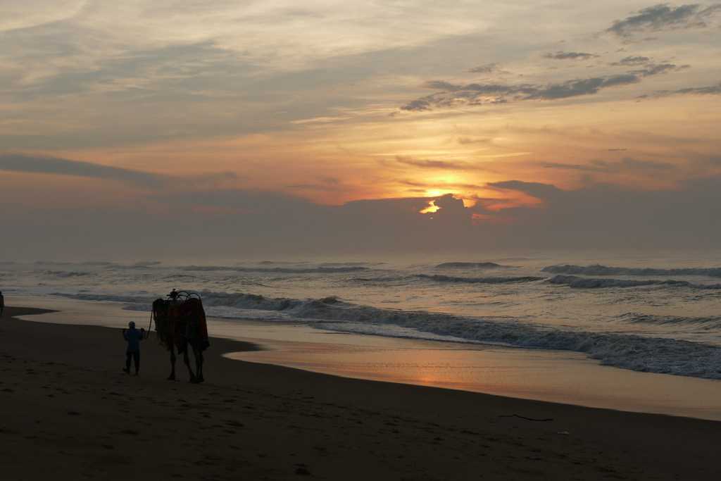 Swargadwar Beach - Puri Image