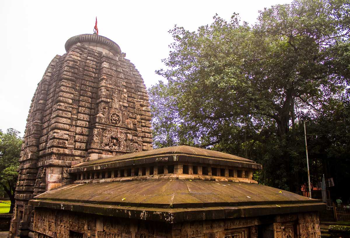 Kedar Gauri Temple - Bhubaneswar Image