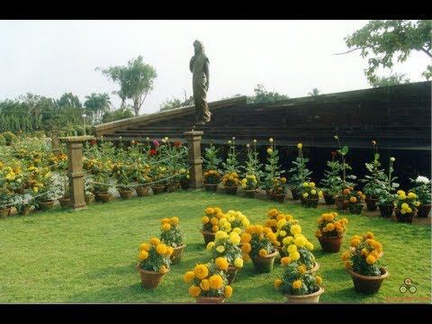 Indira Gandhi Park - Bhubaneswar Image