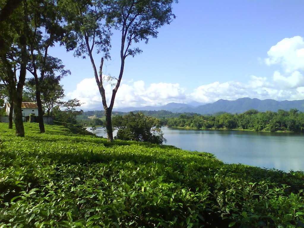 Dolu Lake - Silchar Image