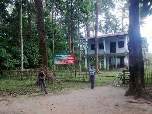 Bherjan-Borjan-Padumoni Wildlife Sanctuary - Tinsukia Image