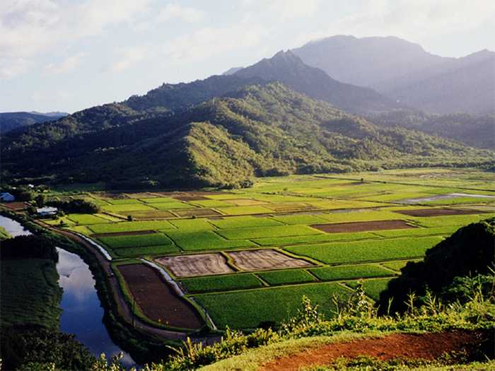 Arboretum - Diphu Image