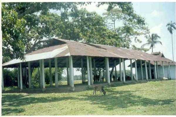 Shripur Dewalay Mandir - Nalbari Image