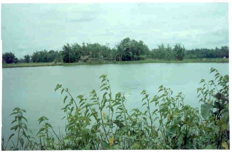 Ganga Pukhari - Nalbari Image